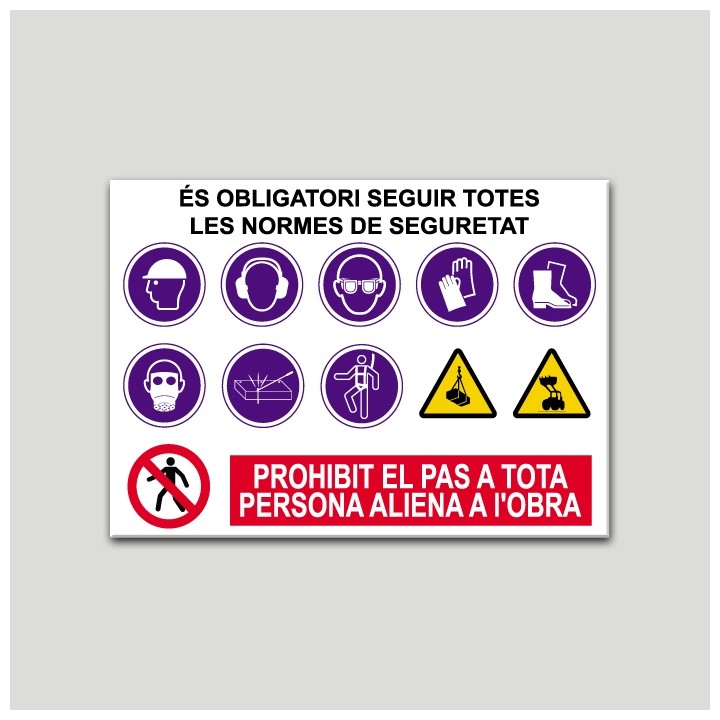Cartel normas de seguridad