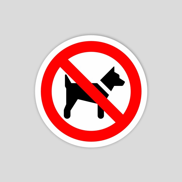 Senyal adhesiva de prohibit gossos (pictograma)