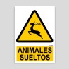 Danger loose animals