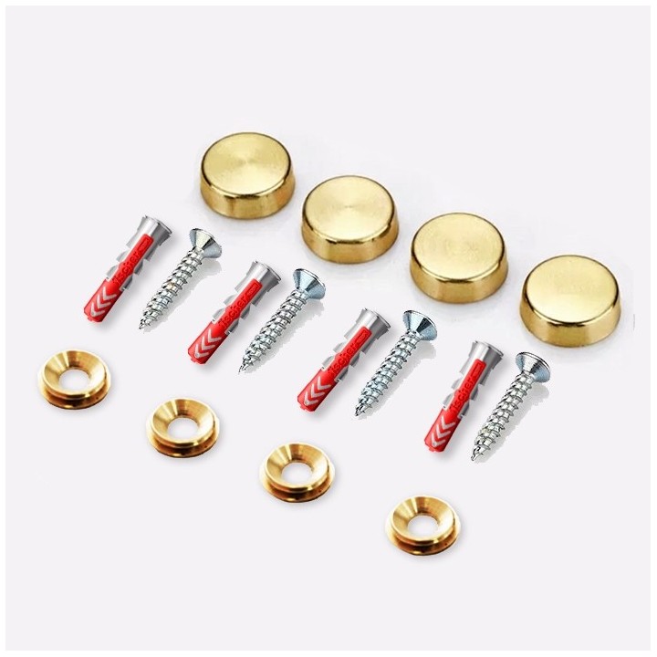 copy of Chrome screws and trim (4 units)