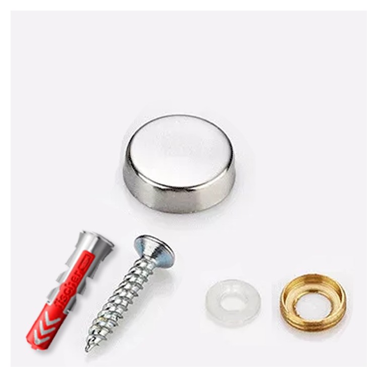 Chrome screw and trim
